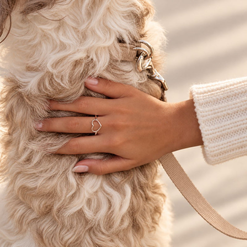 hand wearing the valentine ring patting dog 