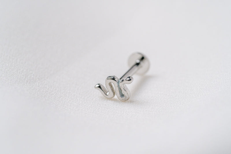 A silver snake shaped earring on a white background.