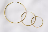 The Hoops Earrings
