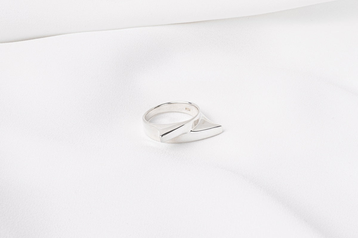 The Direction Ring