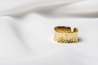 The Earth Ring